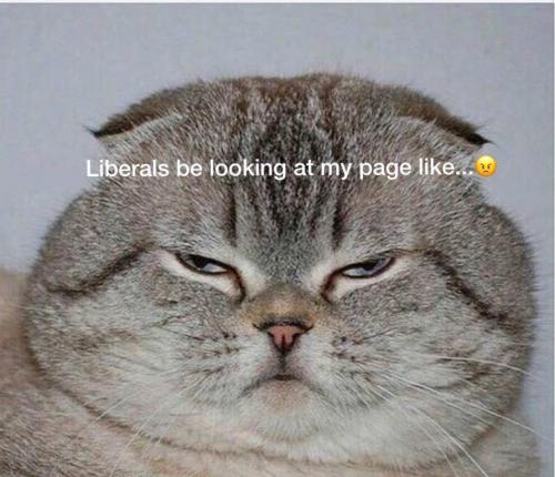 78542043_3028434220504649_4884702048458637312_n