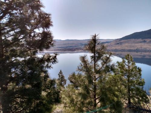 IMG_20210415_092925279_HDR