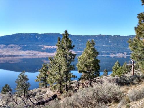 IMG_20210415_092853455_HDR