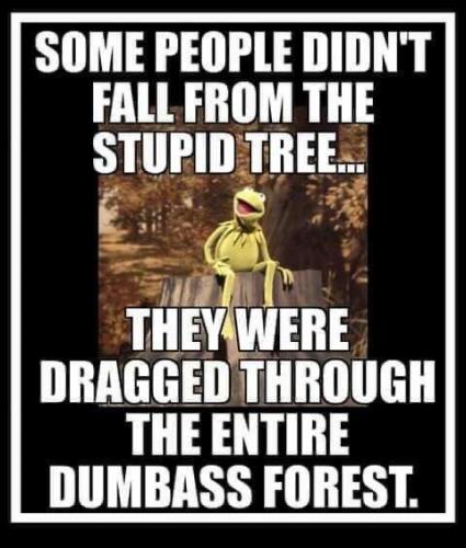 18:12:50 GMT-0600 (MDT).image