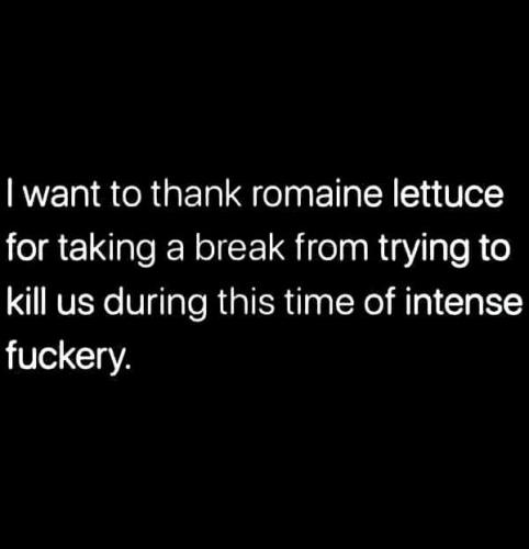 18:24:58 GMT-0400 (EDT)