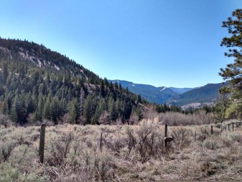 IMG_20210415_114201403_HDR