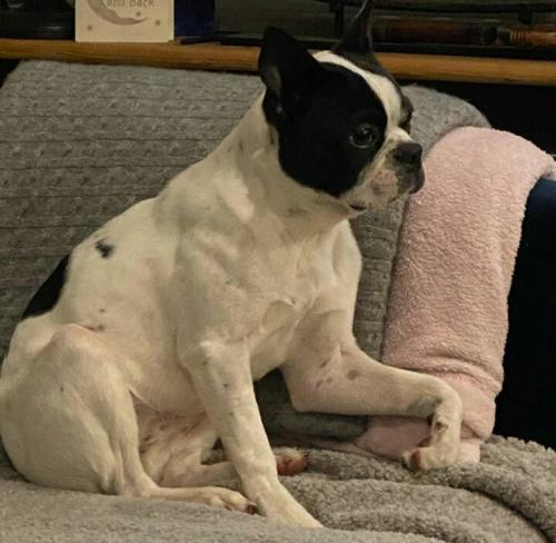 16:34:02 GMT-0700 (MST)