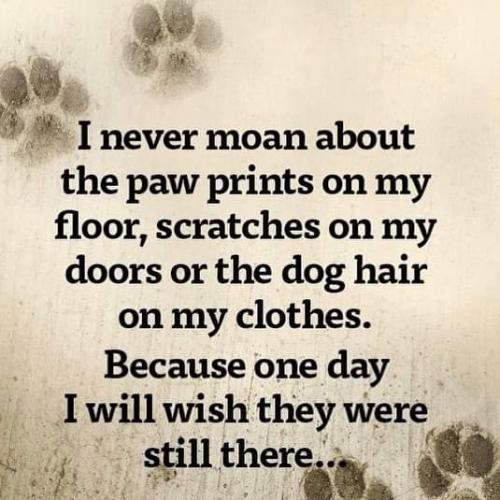 17:21:34 GMT-0400 (EDT)