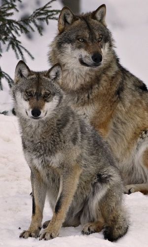 1d081c0b8d3c896f7e3c96371dec9383