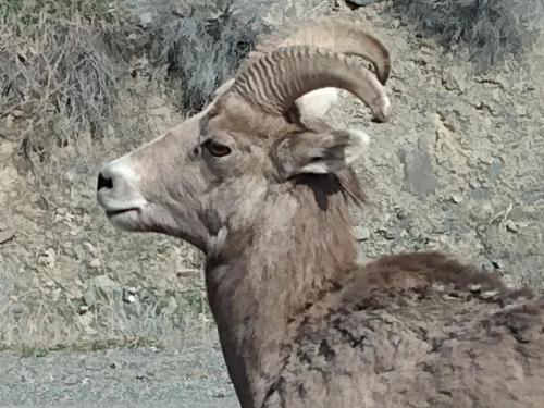 IMG_20210403_152724410