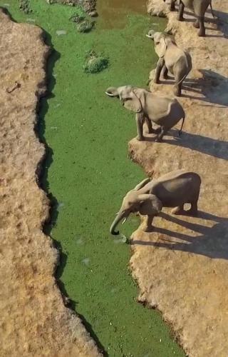 177684506_1560631934136151_6125109280083226618_n