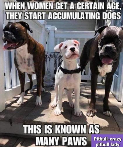 15:10:21 GMT-0500 (CDT)