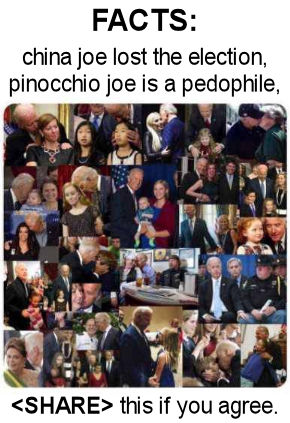 biden509