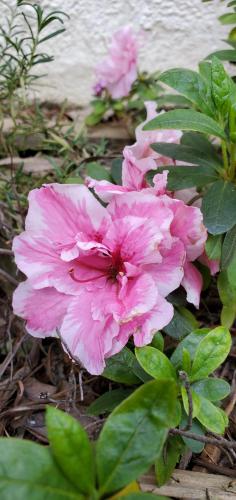 13:15:18 GMT-0700 (PDT)