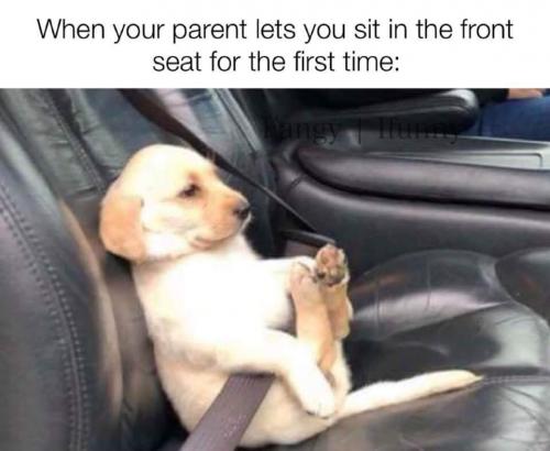 20:18:12 GMT-0500 (CDT)