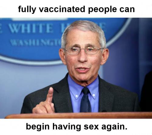 fauci42