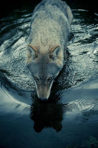 9240f9e3943e9d9a257dea680971b428