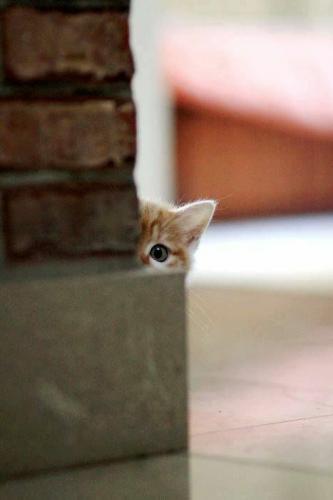 14:38:19 GMT-0500 (CDT)