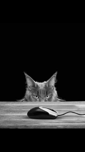 08:12:26 GMT-0500 (CDT)