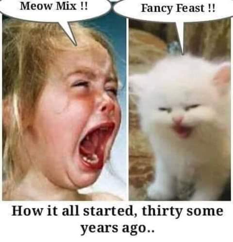 19:09:11 GMT-0700 (PDT)