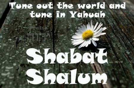 68952591_2241860795939861_5101876962406694912_n