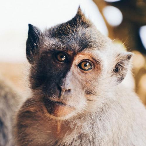 17157484_205877089890415_928098037593914165_o