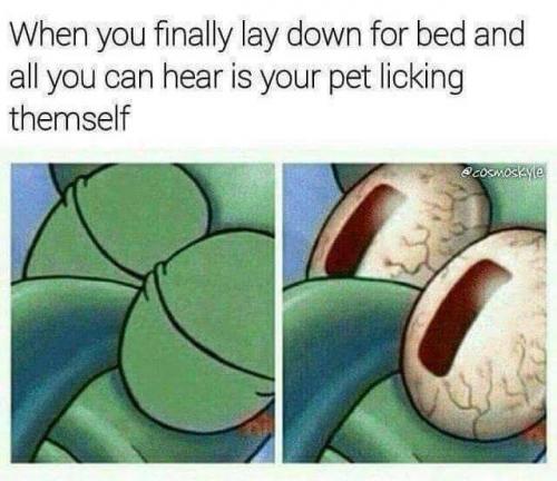 17:37:52 GMT-0500 (CDT)