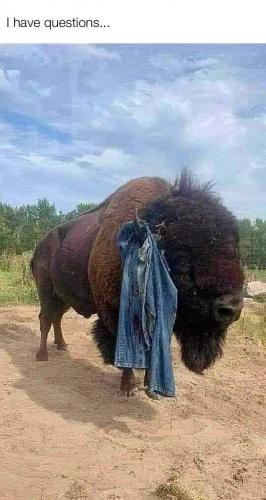 21:39:59 GMT-0400 (EDT)