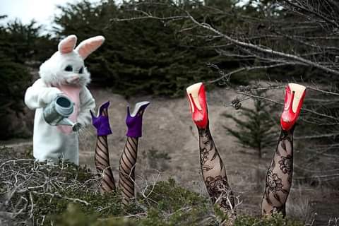 19:30:10 GMT-0700 (PDT)