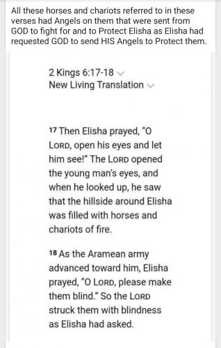 Screenshot_20210422-192856_MeWe