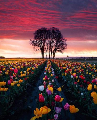 20:39:55 GMT-0500 (CDT)