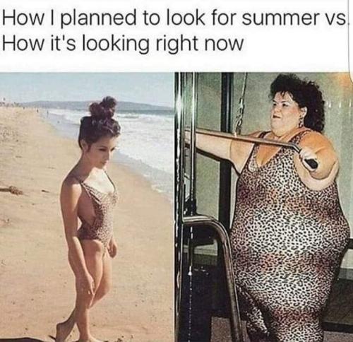 67258367_1115967138586663_6105747781693997056_n