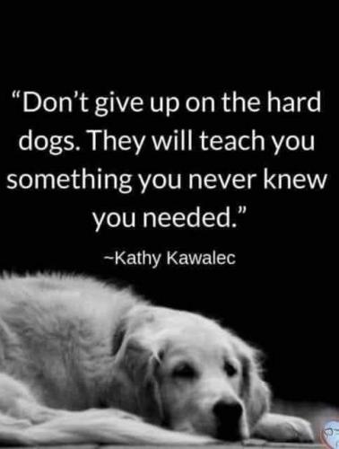 08:46:50 GMT-0400 (EDT)