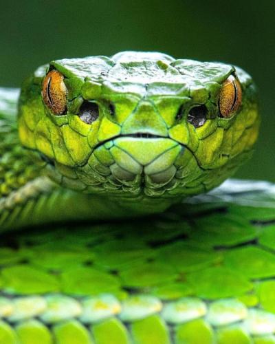 tumblr_37c1278821d0b3823274c8ed5ff50fc5_05b9d942_540