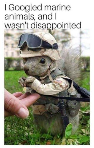 19:12:03 GMT-0500 (CDT)