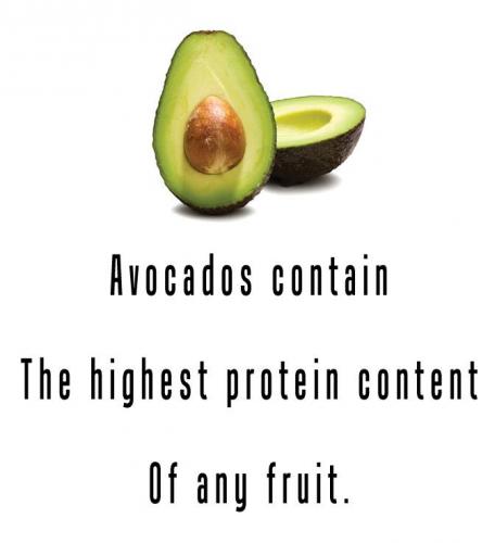 55564498_1712246672255431_3976433331414761472_n