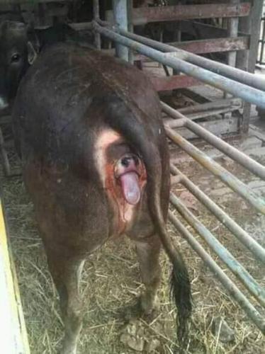 16:18:29 GMT-0500 (CDT)