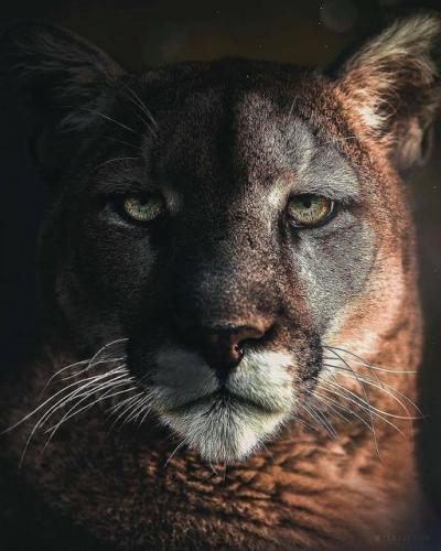 167816581_1835559426610261_6485896998073081100_n