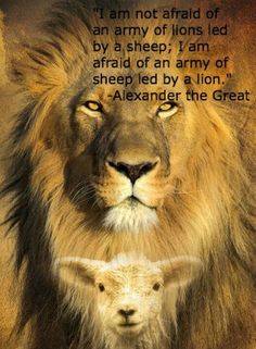 16864667_1400624093342092_5247055346388053332_n