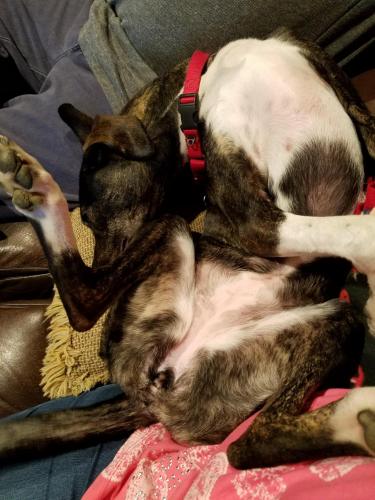 14:07:42 GMT-0400 (EDT)