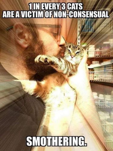 67564066_1065179080355519_4740707647748046848_n