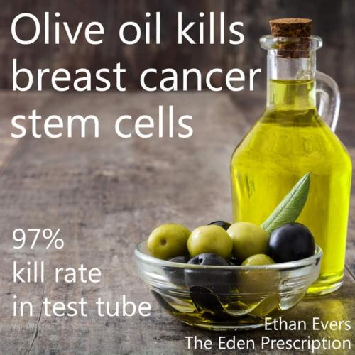 19:56:20 GMT-0600 (MDT)