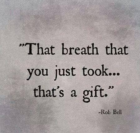 66887478_2893089117373917_905273978082295808_n