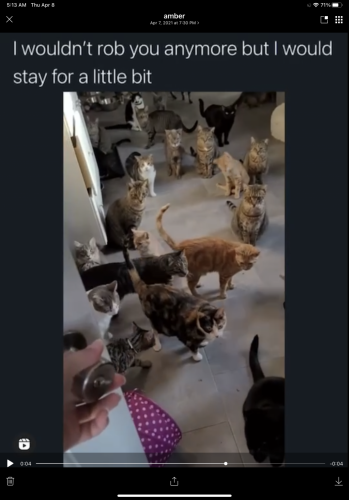 C007F7B7-5C3F-4CD0-8582-09373889933D