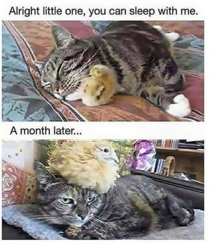 22:28:27 GMT-0700 (PDT)