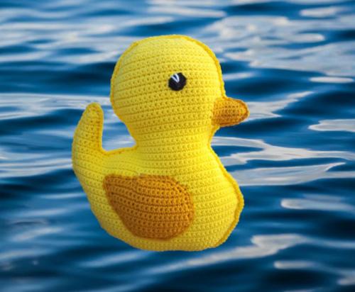 duck on water