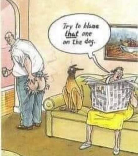 131229987_3797971776903694_1097049374553592081_n