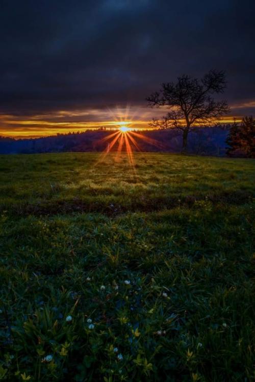 FB_IMG_1614811361827