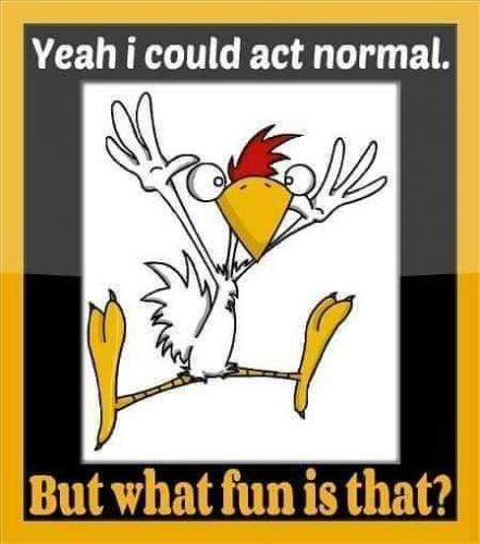 19:18:17 GMT-0400 (EDT)