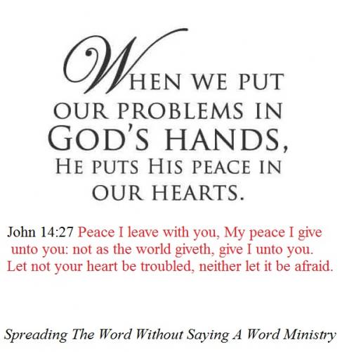 193251800_311475100536077_1187419579562474303_n