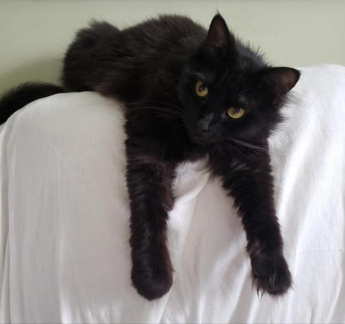 08:47:52 GMT-0500 (CDT)