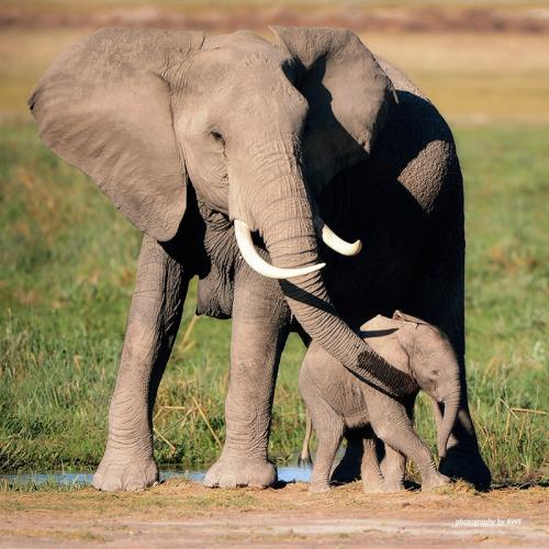 173877153_10159753345738949_5227071759387662451_n