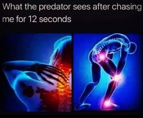 15:52:37 GMT-0400 (EDT)