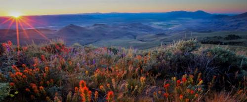 lands and realty_land tenure_photo1